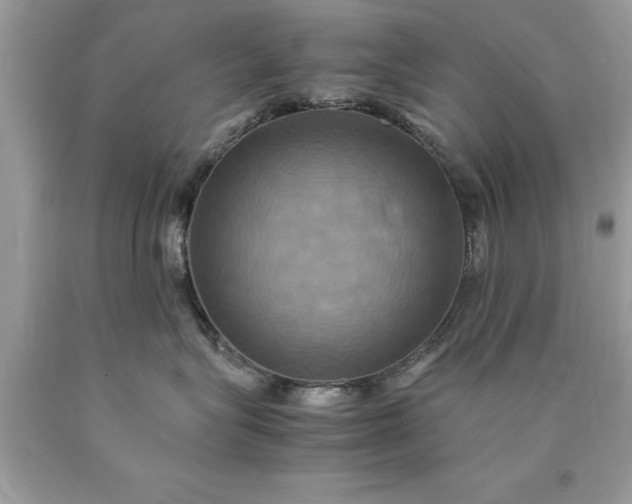 X0000090490575200707272343
