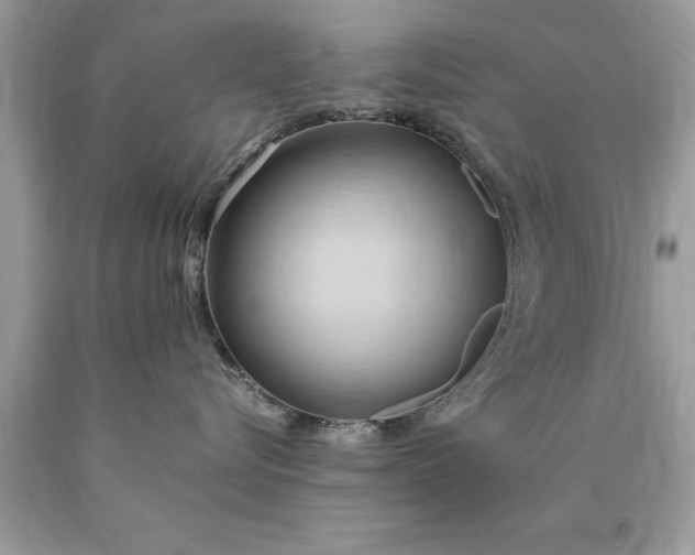 X0000090490576200707272343