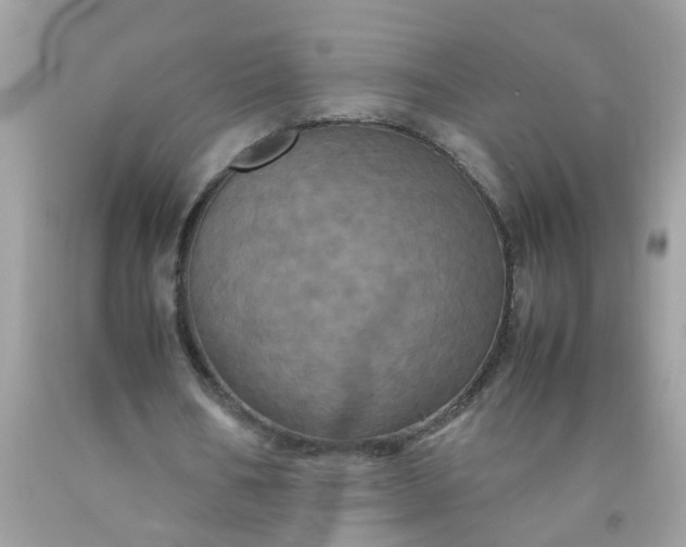 X0000090490578200707272342