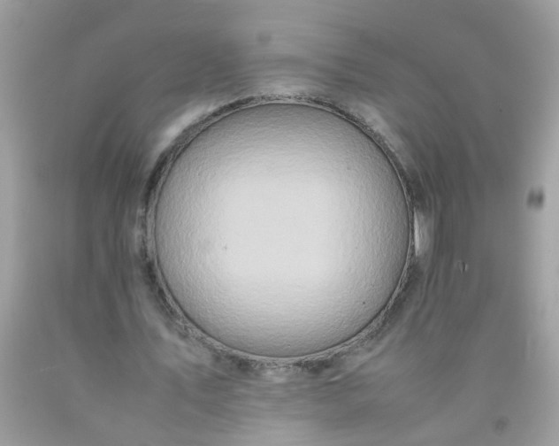 X0000090490579200707272342