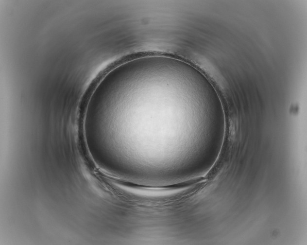 X0000090490580200707272342