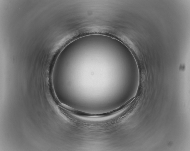 X0000090490581200707272342