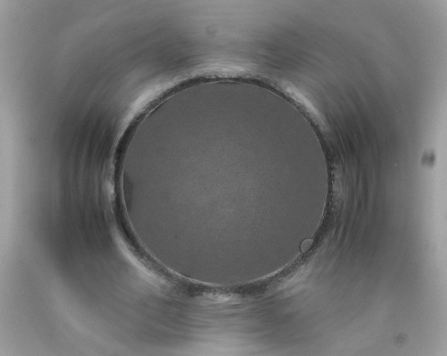 X0000090490582200707272342