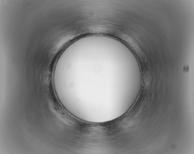 X0000090490583200707272342