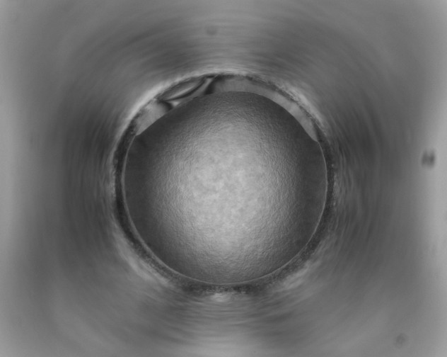 X0000090490584200707272342
