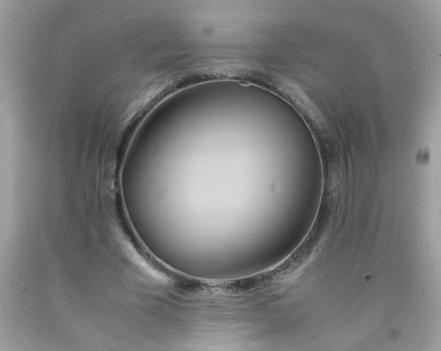 X0000090490585200707272342