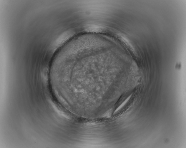 X0000090490586200707272342