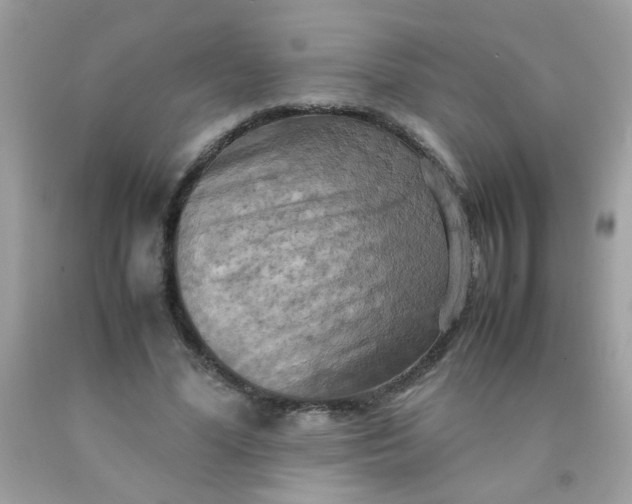 X0000090490588200707272342