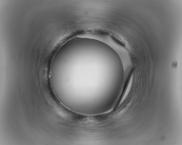 X0000090490589200707272342