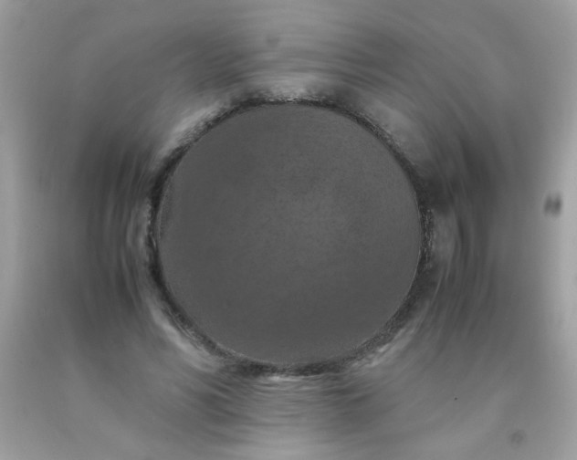 X0000090490590200707272342