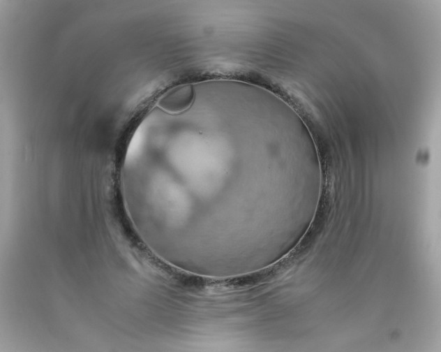 X0000090490591200707272342