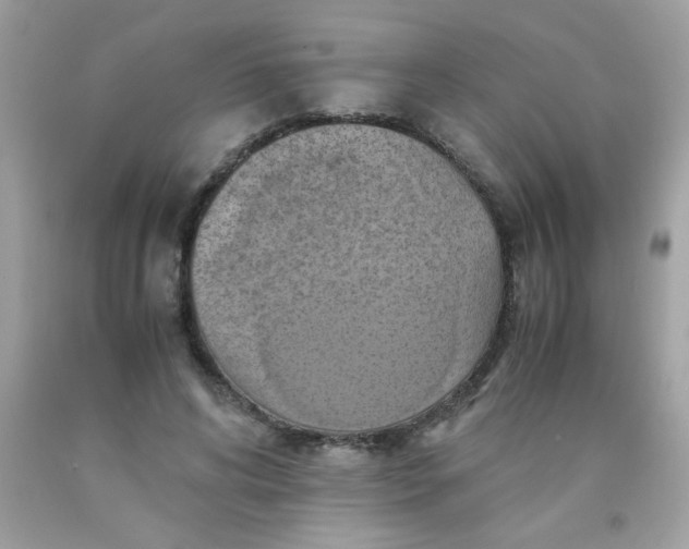 X0000090490592200707272342