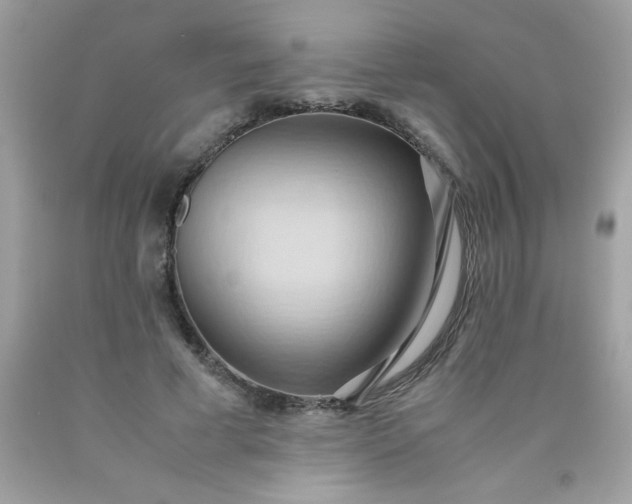 X0000090490593200707272342