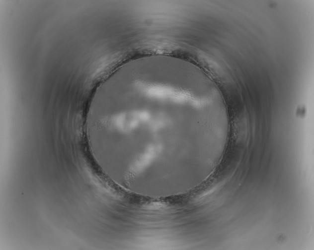 X0000090490594200707272342