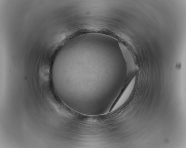 X0000090490596200707272342
