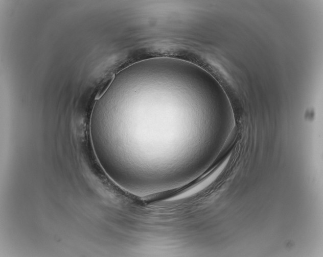X0000090490597200707272342