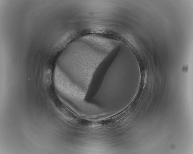 X0000090490598200707272342