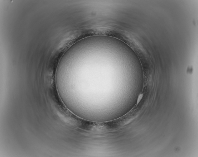 X0000090490599200707272342