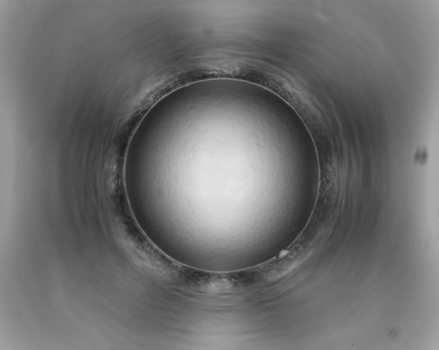X0000090490600200707272342