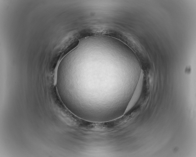 X0000090490601200707272342
