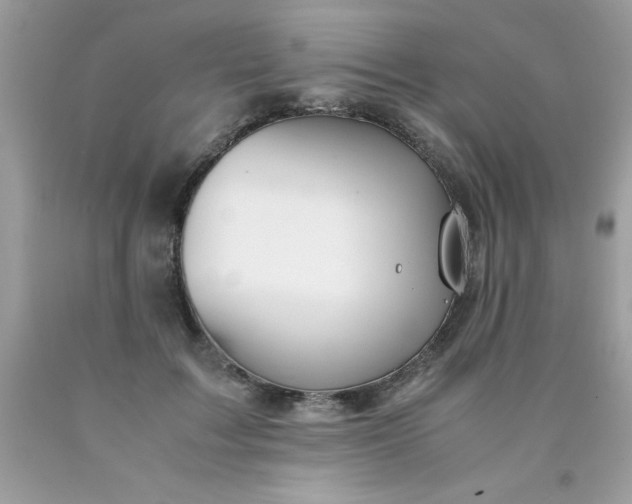 X0000090490603200707272342