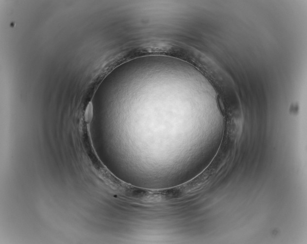 X0000090490604200707272342
