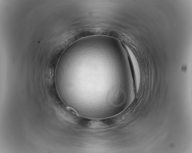 X0000090490605200707272342
