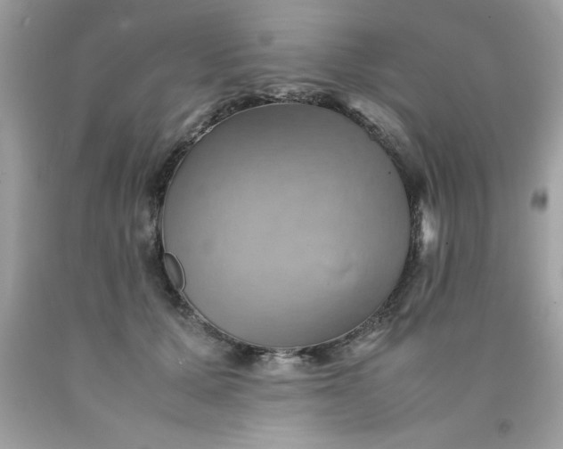 X0000090490607200707272342