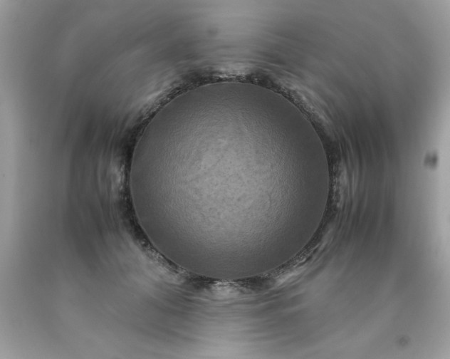 X0000090490608200707272342