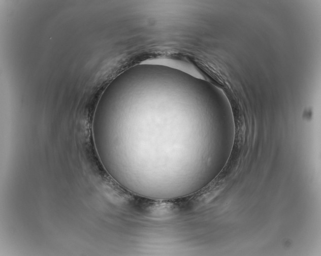 X0000090490609200707272342