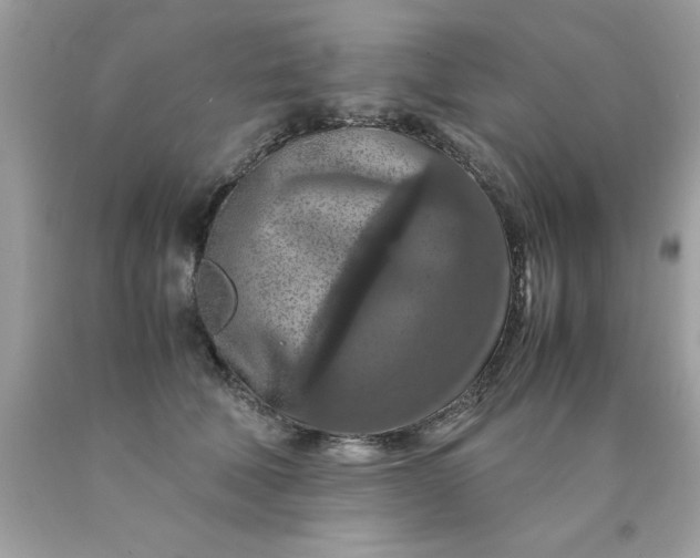 X0000090490610200707272342