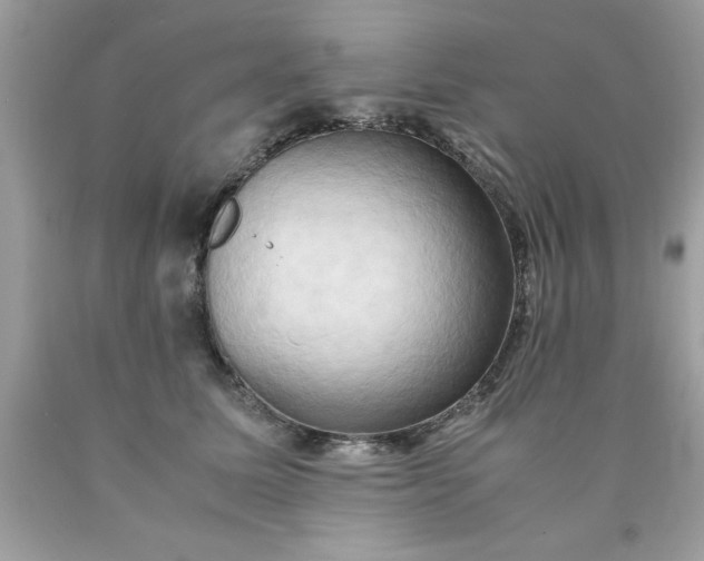 X0000090490611200707272342