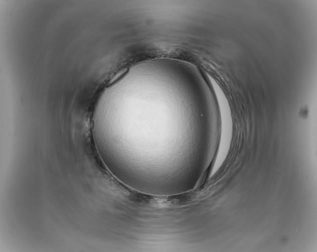 X0000090490613200707272342