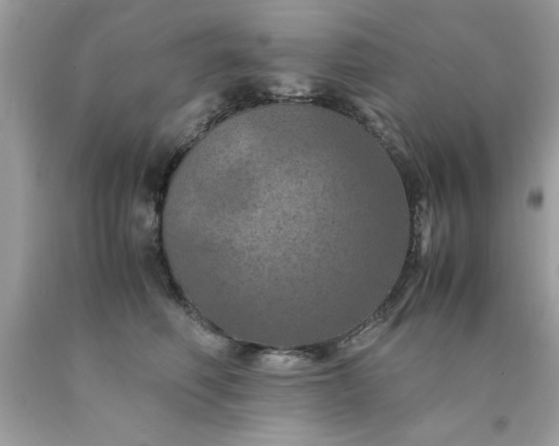X0000090490614200707272342