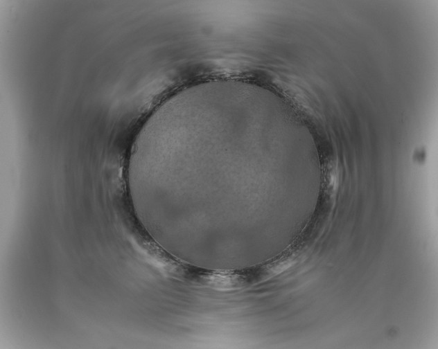X0000090490615200707272342