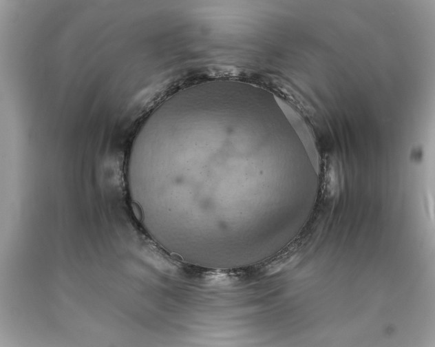 X0000090490616200707272342