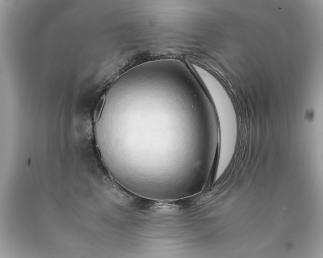 X0000090490617200707272342