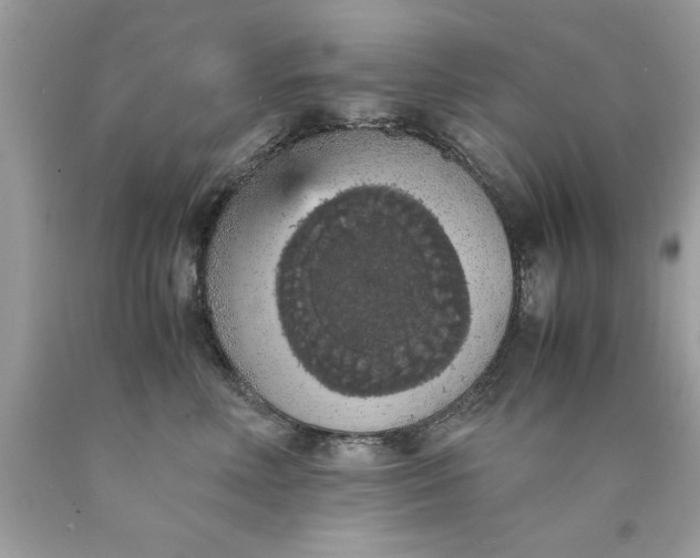 X0000090490618200707272342