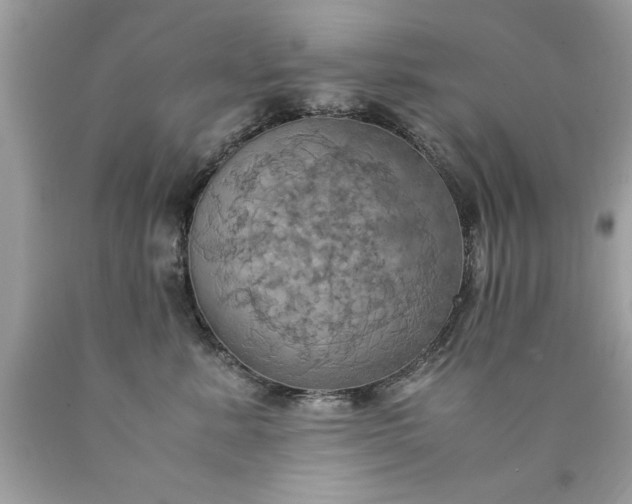 X0000090490619200707272342