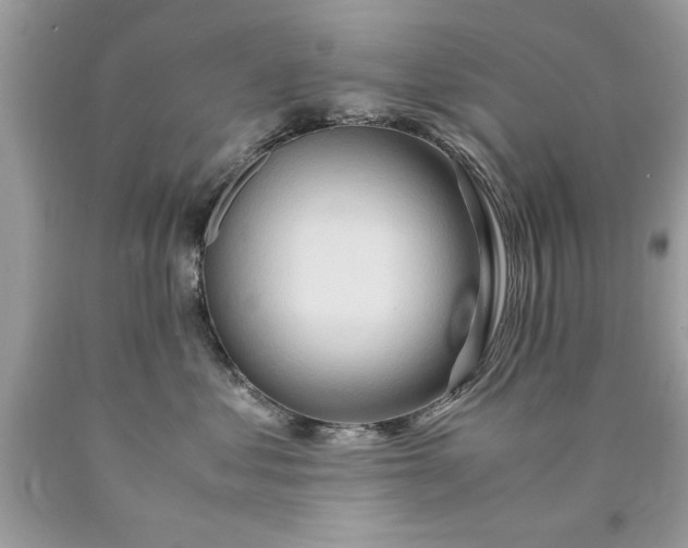 X0000090490621200707272342