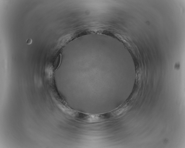 X0000090490623200707272342