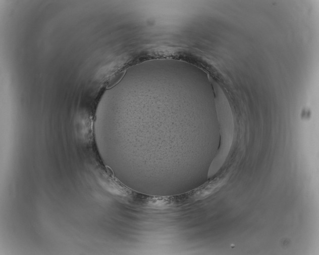 X0000090490624200707272342