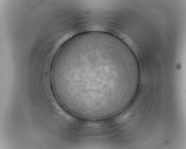 X0000090490625200707272341