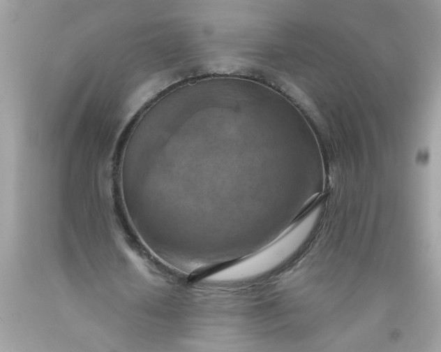X0000090490626200707272341