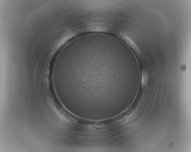 X0000090490627200707272341