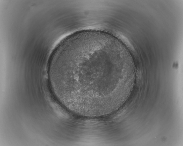 X0000090490628200707272341
