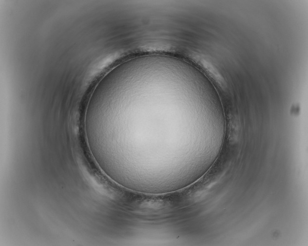 X0000090490631200707272341