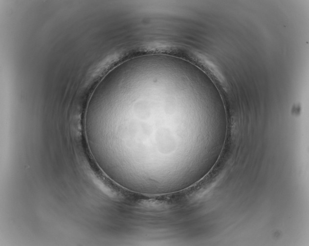 X0000090490633200707272341