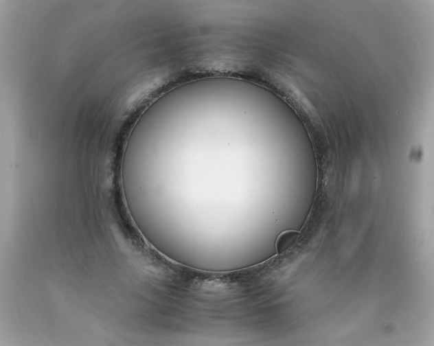 X0000090490635200707272341