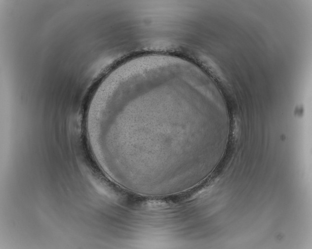X0000090490636200707272341